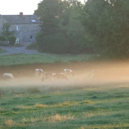 Ferme Du Chateau De Tahier Farm stay *