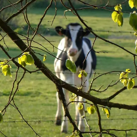 Ferme Du Chateau De Tahier *